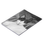 Hallo Meow... Notitieboek (Linkerzijde)