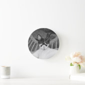 Hallo Meow... Ronde Klok (Huis)