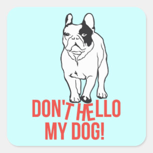 Hallo mijn hond niet! vierkante sticker