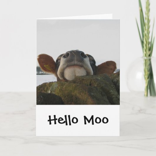 Hallo Moo Kaart (Voorkant)