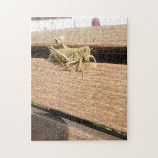 hallo Mr Grasshopper! Legpuzzel (Verticaal)