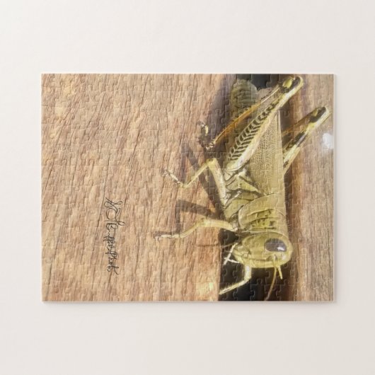 hallo Mr Grasshopper! Legpuzzel (Horizontaal)