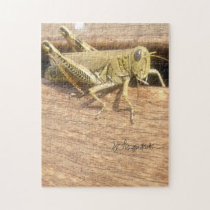 hallo Mr Grasshopper! Legpuzzel