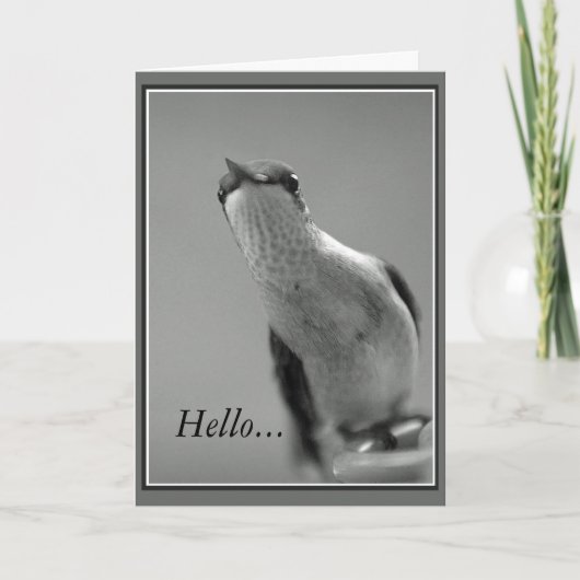 Hallo NL. Kaart (Voorkant)