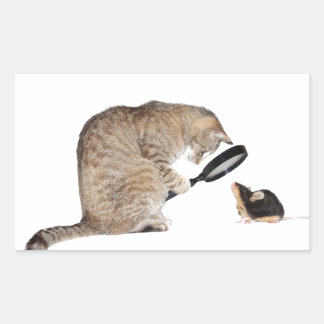 Hallo NL? Rechthoekige Sticker