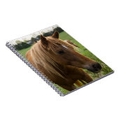 Hallo Notitieboek (Rechterzijde)