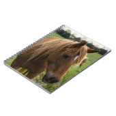 Hallo Notitieboek (Linkerzijde)
