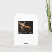 Hallo Pembroke Corgi Puppy Dog Blank Note Kaart (Achterkant)