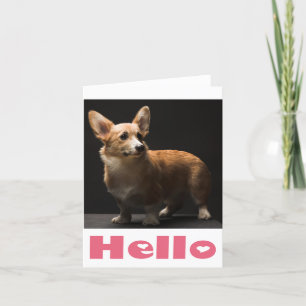 Hallo Pembroke Corgi Puppy Dog Blank Note Kaart