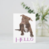 Hallo Pit Bull Puppy Dog Blank Briefkaart (Staand voorkant)