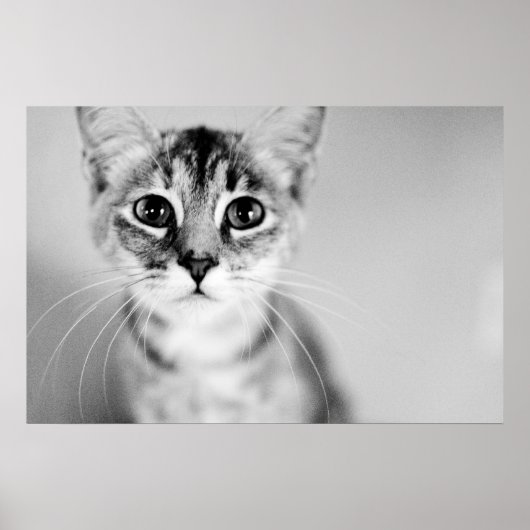 hallo poster (Voorkant)