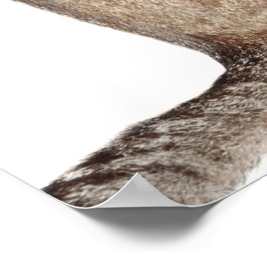 hallo? poster (Hoek)