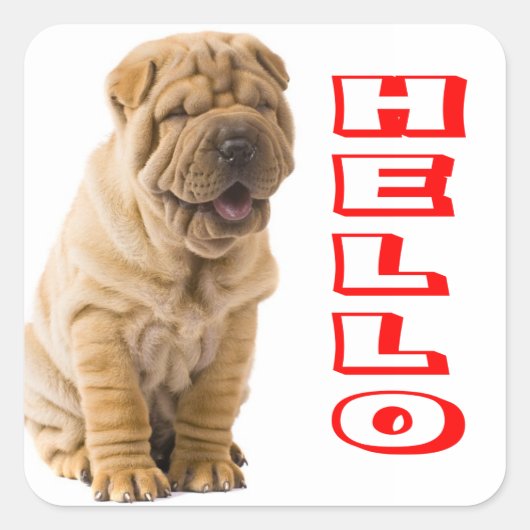 Hallo pShar Pei Puppy Dog Sticker / zeehonden (Voorkant)
