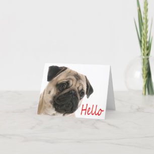 hallo Pug Puppy Dog Blank Note Card Kaart