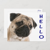 hallo Pug Puppy Dog Greeting Briefkaart (Voorkant / Achterkant)