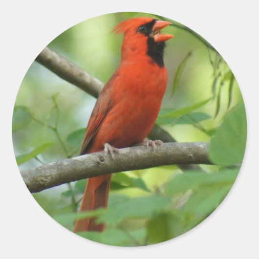 hallo! ronde sticker (Voorkant)