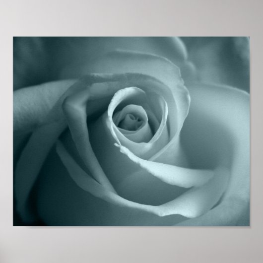 hallo Roos Poster (Voorkant)