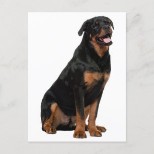 Hallo Rottweiler Puppy Dog - Denk aan jou, liefde Briefkaart