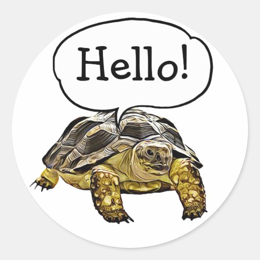 Hallo Schattigee Schildpad Stickers (Voorkant)