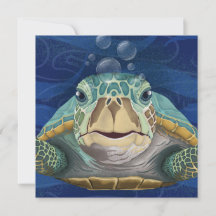 Hallo Schildpad Wenskaart