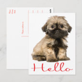 hallo Shih Tzu Puppy Dog Briefkaart (Voorkant / Achterkant)