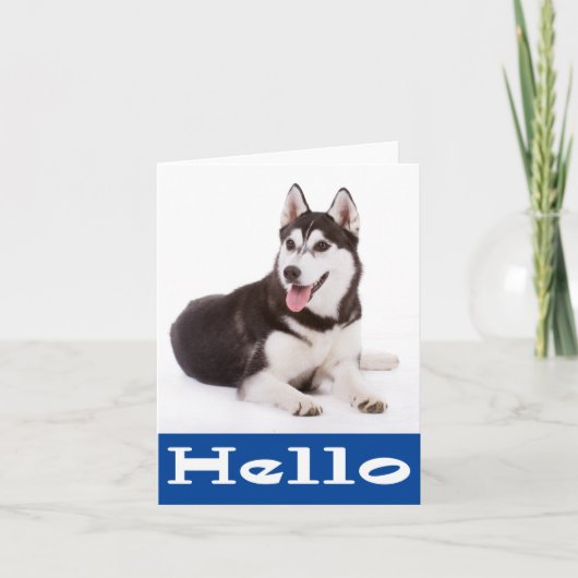 Hallo Siberian Husky Puppy Dog Blank Note Card Kaart (Voorkant)