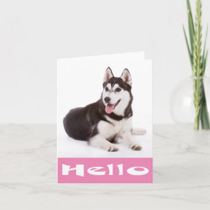 Hallo Siberische Husky Puppie Hond Blanke Notitiek Kaart