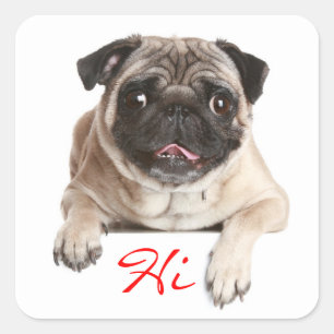 Hallo Sticker Pug Puppy Dog