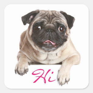 Hallo Sticker Pug Puppy Dog