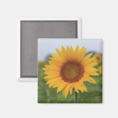 hallo Sunflower Magnet Magneet (Voorkant / Achterkant)
