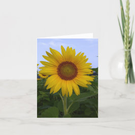 hallo Sunshine Note Card Bedankkaart