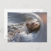 HALLO u Briefkaart (Voorkant / Achterkant)