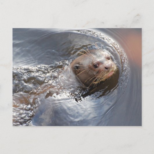 HALLO u Briefkaart (Voorkant)