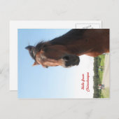 hallo uit Chincoteague Briefkaart (Voorkant / Achterkant)