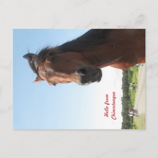 hallo uit Chincoteague Briefkaart (Voorkant)