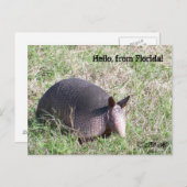 hallo uit Florida! Briefkaart (Voorkant / Achterkant)