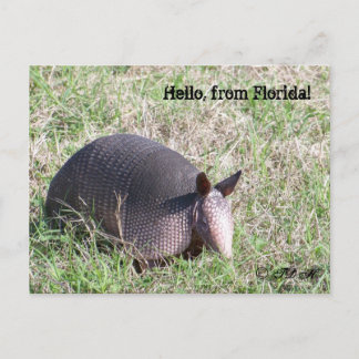 hallo uit Florida! Briefkaart