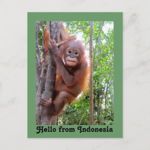 Hallo uit Indonesië Briefkaart