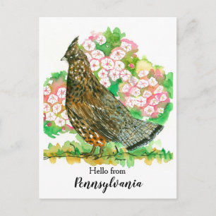 Hallo Uit Pennsylvania Ruffed Grouse Bird Briefkaart