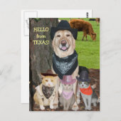 hallo uit Texas. Briefkaart (Voorkant / Achterkant)