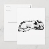 Hallo Vakantie van Blanket en Buddy Briefkaart (Voorkant / Achterkant)