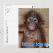 hallo van de redding van Borneo Orangutan Orphan Briefkaart (Voorkant / Achterkant)