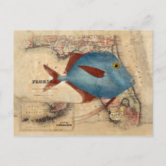 Hallo - van Florida Briefkaart