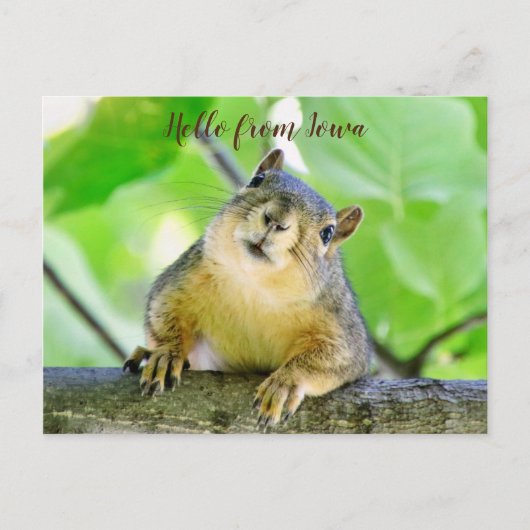 hallo van het Briefkaart Iowa (Voorkant)