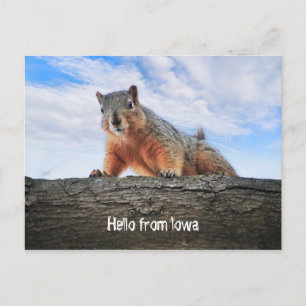 hallo van het Briefkaart Iowa