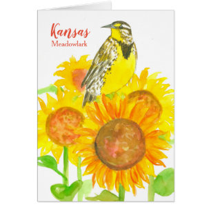 Hallo Van Kansas Zonnebloem Wildflower Meadowlark