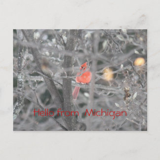 Hallo van Michigan Briefkaart