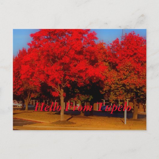 hallo van Tupelo Briefkaart (Voorkant)