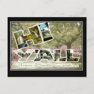 Hallo vanuit South Carolina vintage reis ansichtka Briefkaart