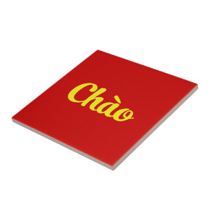 Hallo ~ Vietnam / Vietnamees / Tiếng Việt Tegeltje